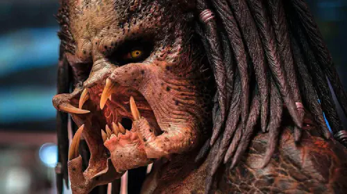 assets/the-predator.jpeg