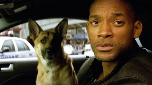 assets/will-smith-i-am-legend.jpeg