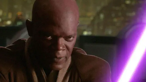 assets/samuel-l-jackson-as-mace-windu-in-star-wars.jpeg