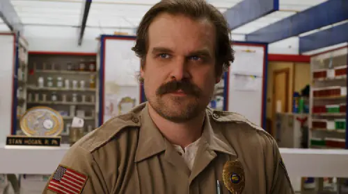 assets/david-harbour-in-stranger-things.jpeg