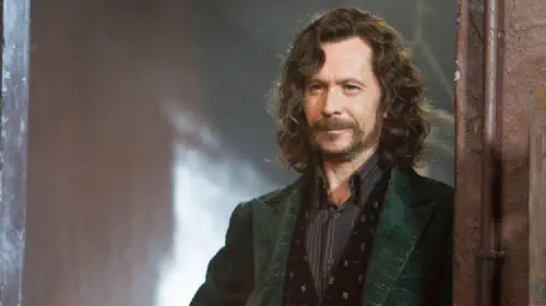 assets/gary-oldman-as-sirius-black-in-harry-potter-and-the-order-of-the-phoenix.jpeg