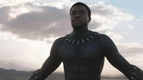 assets/mcu-black-panther-chadwick-boseman.jpeg
