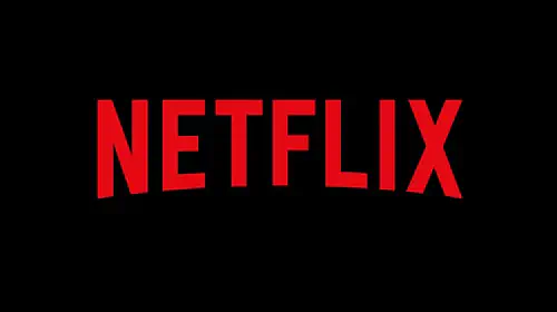 assets/netflix-logo.jpeg