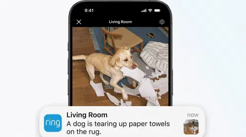 assets/Ring-Video-Descriptions_Dog-1.jpeg
