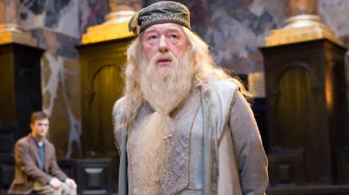assets/michael-gambon-as-dumbledore-in-harry-potter-and-the-order-of-the-phoenix.jpeg