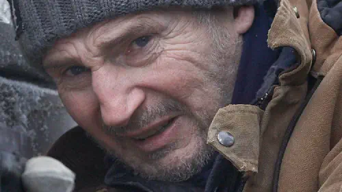 assets/liam-neeson-in-the-ice-road.jpeg