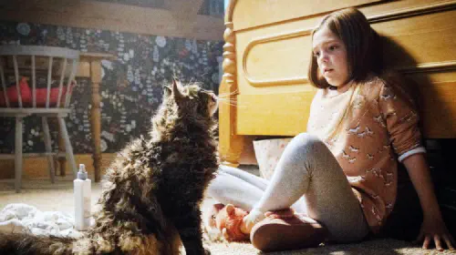 assets/a-girl-is-scared-of-a-cat-in-pet-sematary.jpeg