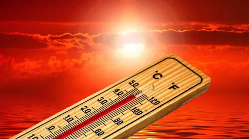 assets/thermometer-4767444_1920.jpeg
