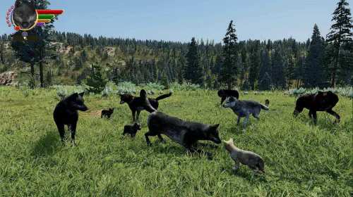 assets/wolfquest-20250723-350180-header.jpeg