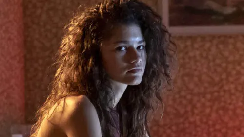 assets/zendaya-as-rue-in-euphoria.jpeg