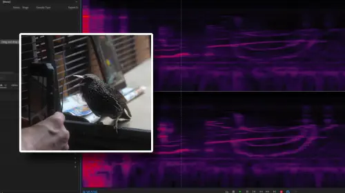 assets/image_f0e533-1.jpeg