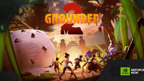 assets/GFN_Thursday-Grounded_2-HD-scaled.jpeg