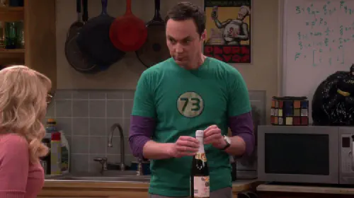 assets/jim-parsons-as-sheldon-in-the-big-bang-theory-episode-the-fermentation-bifurcation.jpeg