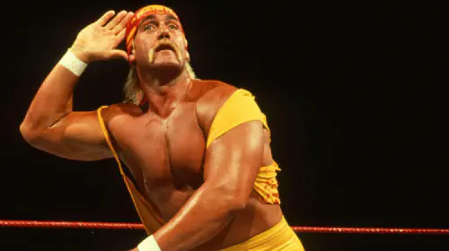 assets/hulk-hogan-wwe.jpeg
