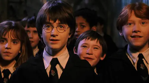 assets/harry-potter-in-the-sorcerer-s-stone.jpeg