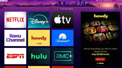 assets/Roku-Howdy-service.jpeg
