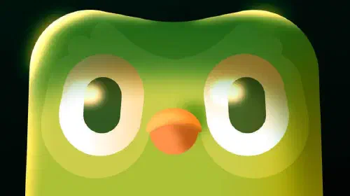 assets/duolingo-owl.jpeg