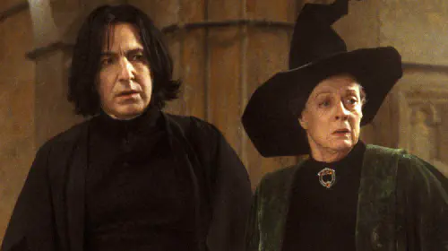 assets/harry-potter-and-the-sorcerer-s-stone-snape-and-mcgonnagall.jpeg