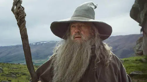 assets/ian-mckellen-as-gandalf.jpeg