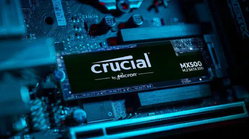 assets/crucial_2-1.jpeg