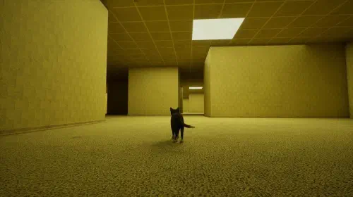 assets/liminalcat-20250819-354032-header.jpeg