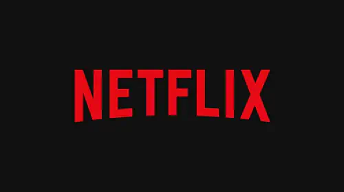 assets/netflix-logo.jpeg