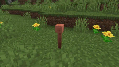 assets/minecraft-20250902-356124-header.jpeg