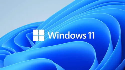 assets/windows_11_logo-1.jpeg