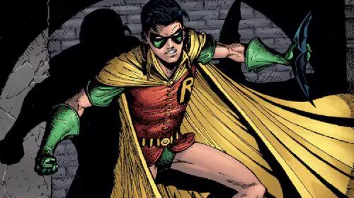 assets/robin.jpeg
