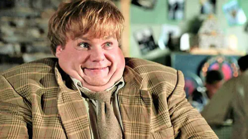 assets/chris-farley-in-the-film-tommy-boy.jpeg