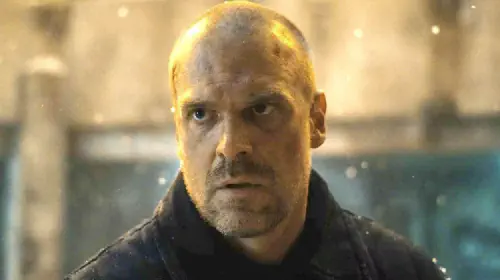 assets/david-harbour-in-stranger-things.jpeg