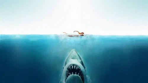 assets/jaws-movie-poster.jpeg