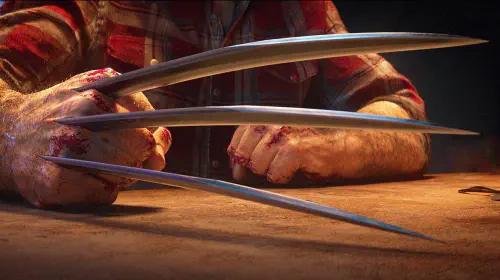 assets/WCCFwolverine1.jpeg