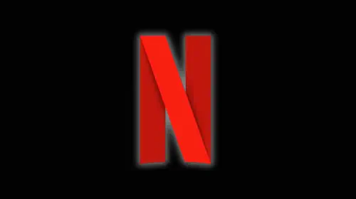 assets/netflix-logo.jpeg