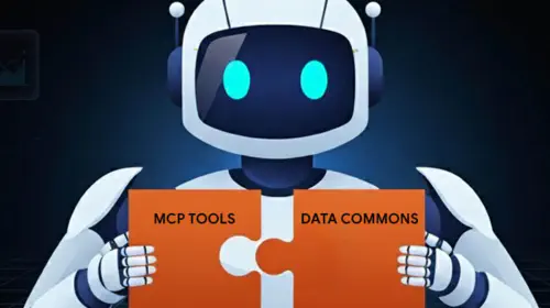 assets/google-data-commons-mcp.jpeg