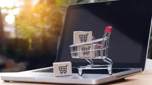assets/Mini-shopping-cart-with-model-packages-on-a-laptop-1.jpeg