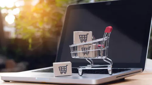 assets/Mini-shopping-cart-with-model-packages-on-a-laptop-1.jpeg