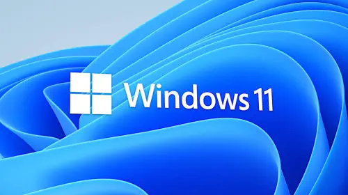 assets/Windows-11-logo-Bloom-skewed.jpeg