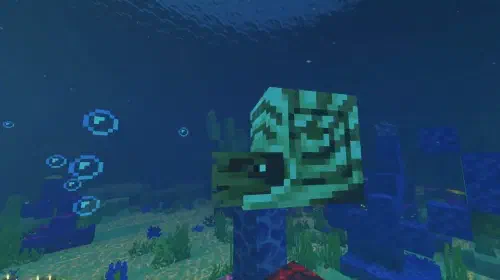 assets/minecraft-live-20250928-359502-header.jpeg