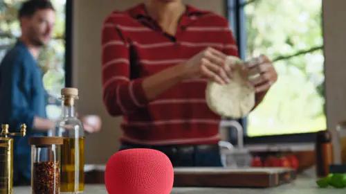 assets/Google-Home-Speaker-with-Light-Ring-Berry.jpeg