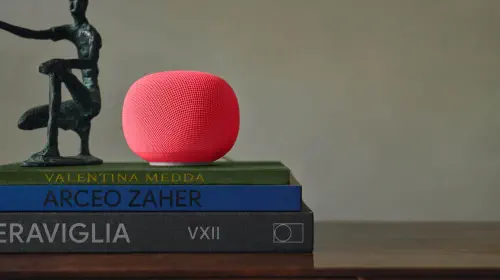 assets/Google-Home-Speaker-in-Berry.jpeg