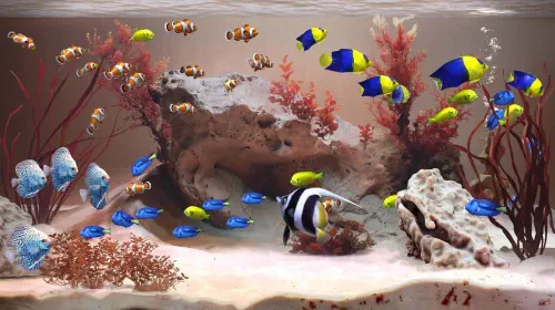 assets/zen-aquarium-20251002-360105-header.jpeg