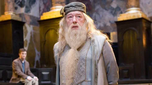 assets/albus-dumbledore-in-harry-potter-and-the-order-of-the-phoenix.jpeg