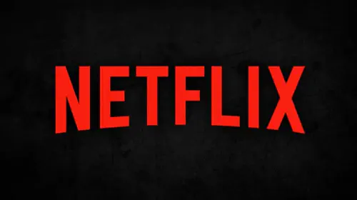 assets/netflix-logo-streaming-best-action-series-solo-leveling.jpeg