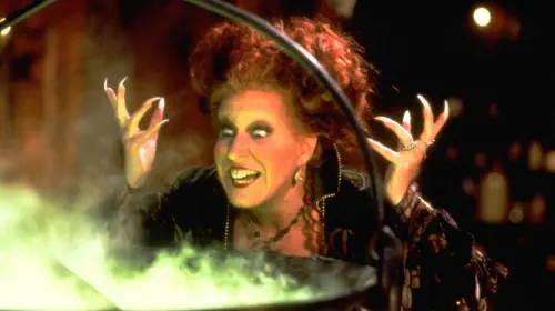 assets/bette-midler-as-winifred-sanderson-in-hocus-pocus.jpeg