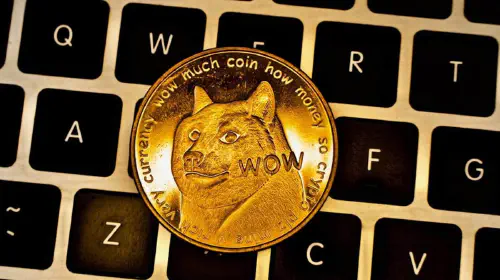 assets/dogecoin.jpeg