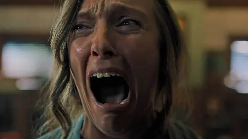 assets/hereditary-toni-collette.jpeg