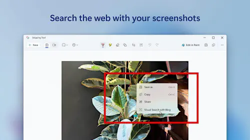assets/Windows-11-Snipping-Tool-action-Visual-Search-with-Bing-screenshot.jpeg