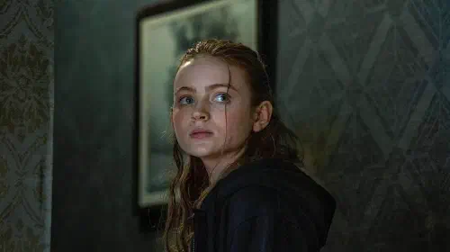 assets/sadie-sink-in-the-whale.jpeg