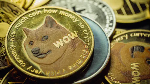 assets/elon-musk-dogecoin.jpeg